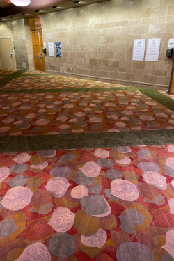 Vilar Performing Arts Center, Beaver Creek CO - New Carpet Installation